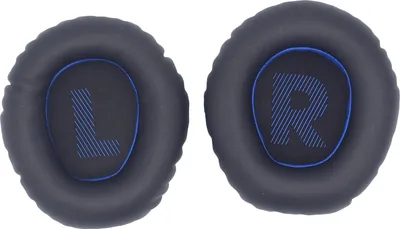 Two black ear pads with blue trim and blue 'L' and 'R' markings.