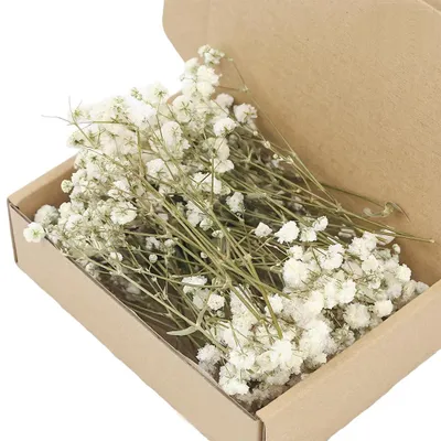 Kunstblumen Gipsofila, weiß, 1 Pack, für DIY-Deko