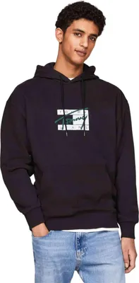 Produktbild von Hoodie Tommy Hilfiger DM0DM20170BDS für Herren