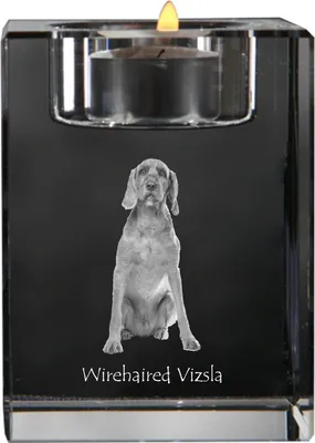 Produktbild von Vizsla - Kerzenhalter mit Hundefoto, Teelichthalter aus Kristall, personalisiertes Geschenk der Marke Art-Dog