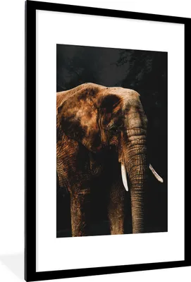 Produktbild von MuchoWow® MuchoWow® Gerahmtes Poster Elefant - Schwarz - Farbe 60x90 cm - Poster mit zchwarzem Bilderrahmen - Dekoration - Wandposter Wohnzimmer - Hochwertig