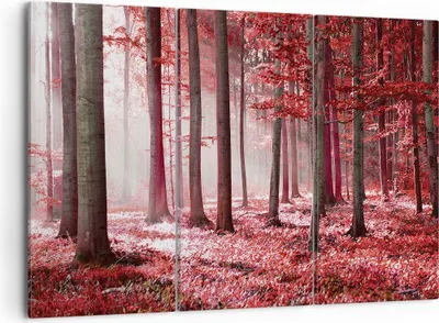 Produktbild von Bild auf Leinwand - Leinwandbild - 3 Teile - Wald Rot Bäume - 105x70cm - Wand Bild - Wanddeko - Wandbilder - Leinwanddruck - Bilder - Wanddekoration - Leinwand bilder - Wandbild - CE105x70-4944