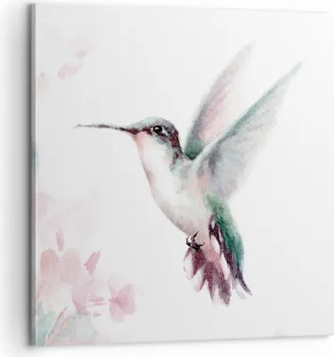 Produktbild von Bild auf Leinwand - Leinwandbild - Einteilig - Kolibri Aquarell Licht - 60x60cm - Wand Bild - Wanddeko - Wandbilder - Leinwanddruck - Bilder - Wanddekoration - Leinwand bilder - AC60x60-4518