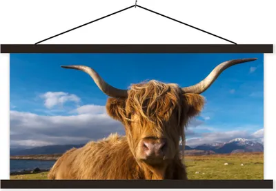 Produktbild von MuchoWow® Textilposter Schottische Hochlandrind - Tiere - Gras 120x60 cm mit schwarzem Rahmen - Dekoration Schlafzimmer