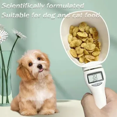 Produktbild von Digitale Messlöffelwaage mit LCD-Display, 3–800 g, 4 Maßeinheiten, abnehmbarer Löffel