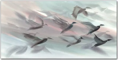 Produktbild von Coloray Bild aus Leinwand 100x50 Leinwand Dekoration - Tiere Vögel