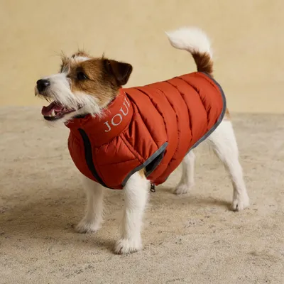 Zdjęcie produktu dla Kurtka dla psa Rosewood x Joules Ketchup Moorsdale Puffer, rozmiar S, dwustronna, idealna na zimę