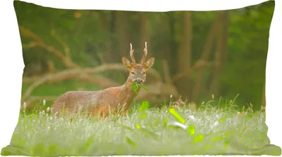 Produktbild von MuchoWow® Zierkissen Sofakissen Wohnzimmer Dekokissen 50x30 cm Hirsche - Gras - Wald - Wohnzimmerdekoration - Polster mit Photo