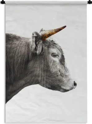 Produktbild von MuchoWow® Wandteppich Wandbehang Schottischer Highlander - Tiere - Kuh 60x90 cm Tapisserie Dekoration Wandtuch - Foto-Teppich - Abwaschbar