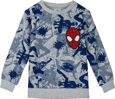 Produktbild von Jungen Sweater ohne Kapuze Spider-Man Grau - 5 Jahre