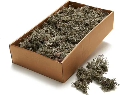 Produktbild von Moos grau natur ca. 500g