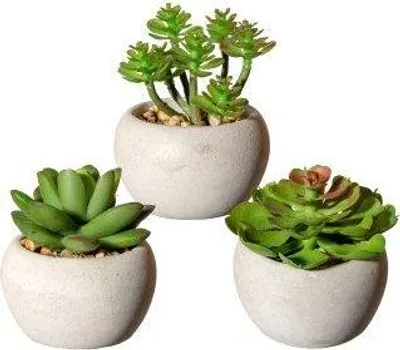 Produktbild von artplants.de Deko Sukkulenten Gesteck PLOKSA im Zementtopf, 3 Stück, grün, 8cm - Künstliches Gesteck