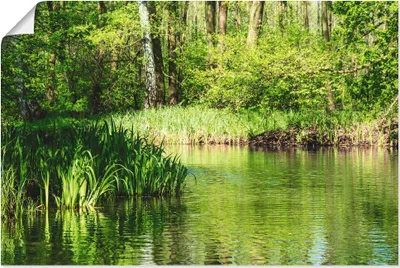 Produktbild von ARTland Poster Landschaft im Spreewald bei Lübbenau II Größe: 60x40 cm