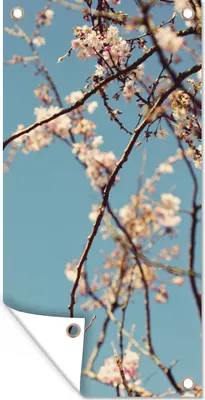 Produktbild von MuchoWow® 80x160 cm Outdoor-Poster Gartendeko Sichtschutz Garten Poster für den Garten  Blüte