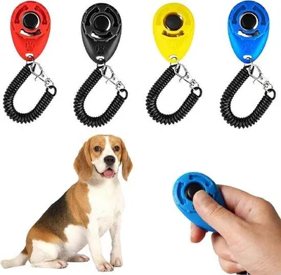 Image de Clicker professionnel pour chiens - Appareil d'entraînement par clicker - Coffret avec bracelet spiralé - Outil d'entraînement pour chiens, chats, chevaux - Entraînement pour chiens et animaux de compagnie - Convient à toutes les races - Clicker noir