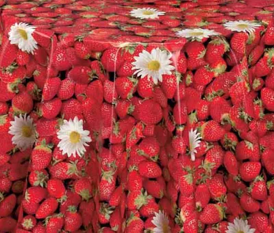 Produktbild von PVC Tischdecke Erdbeere Wachstuch - Eckig - Länge & Breite wählbar - abwaschbare Tischdecke - rot Früchte Strawberry, Größe:140 x 2500 cm