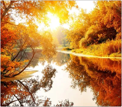 Produktbild von Spritzschutz Herdabdeckplatte Schneidebrett aus Glas Herbstwald am Fluss 1-Teilig (60x52cm)