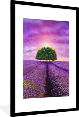 Produktbild von MuchoWow® Gerahmtes Poster Lavendel - Baum - Lila - Wolken 60x90 cm - Poster mit Schwarzem Bilderrahmen Wandposter Rahmen Foto Bilder - Dekoration - Wandposter Wohnzimmer - Hochwertig