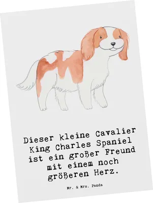 Produktbild von Mr. & Mrs. Panda Postkarte Cavalier King Charles Spaniel - Weiß - Geschenk, Hunderassen, Postkarten, treu, einzelkarte, Ansichtskarten, Grußkarte, Ansichtskarte, kompakt