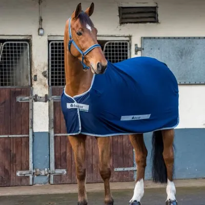 Zdjęcie produktu dla Bucas Select Cooler - Navy