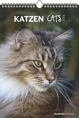 Produktbild von Katzen 2026 - Bildkalender 23,7x34 cm - Kalender mit Platz f