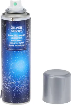 Image de Vernis décoratifs 150 ml Argent