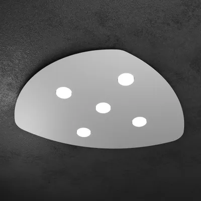 Image de Forme Plafonnier Moderne Métal Gris 5 Lumières Gx53