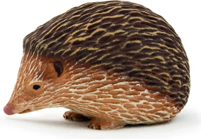 Zdjęcie produktu dla Mojo Fun Hedgehog, 3 lat(a), Wildlife, Brązowy, Biały, Polichlorek winylu (PVC)
