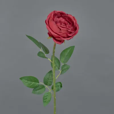 Produktbild von artplants.de Kunst Rose THYRI, rot, 65cm - Textil Rose