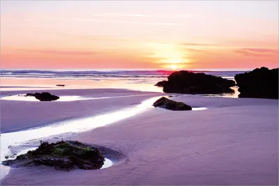 Produktbild von Wallario selbstklebendes Poster - Sonnenuntergang am einsamen Strand, Größe: 61 x 91,50 cm