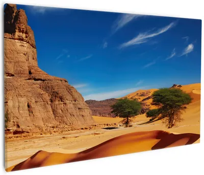 Produktbild von Wallario Premium Leinwandbild In der Wüste Sahara in Größe 60 x 90 cm