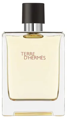 Produktbild von Hermes Terre D'Hermes Eau De Toilette Spray 100ml