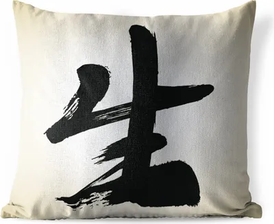 Produktbild von MuchoWow® Outdoor Kissen - Chinesisches Zeichen für Leben - 40x40 cm - Wetterfest - Lounge Kissen - Kopfkissen - Interieur - Polster mit Bild