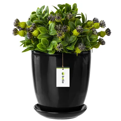 Produktbild von Blumentopf Blumenübertopf Schwarz Blumenschale mit Untersetzer Rund Glanz Keramik Glamour Höhe 21,5 cm