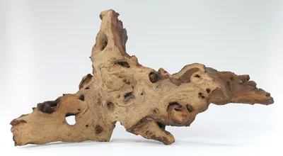 Produktbild von Mopani Wurzel Größe "M" 20-30cm Holz für Aquarium Terrarium Reptilien HardScape Aquaristik Zubehör Nano Garnelen Pflanzen Höhle