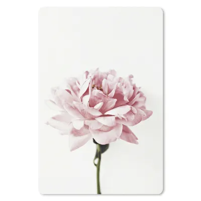 Produktbild von MuchoWow® Mauspad Mousepad Nahaufnahme einer rosa Pfingstrose 18x27 cm - Mousepads - Maus Mat - Pad - Mausunterlage