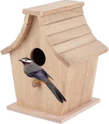 Vogelhaus, Hauptbild