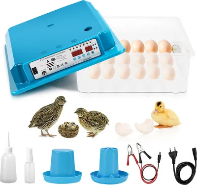 Produktbild von Brutmaschine Brüter Digital Flächenbrüter mit LCD-Anzeige Wendesystem+Temperatursteuerung für Hühnergans Ente Taube Wachtel Vogel 36 Eier Grün