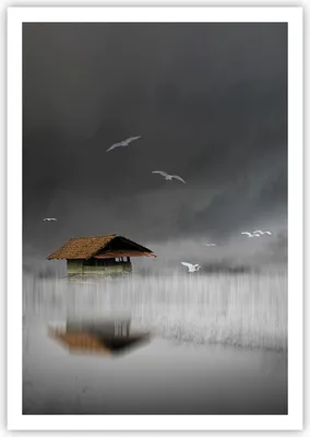 Produktbild von Poster - Poster ohne Rahmen - Hütte Nebel Sumpf - 70x100 cm - Wand Bild - Wanddeko - Wandbilder - Kunstposter - Wandposter - Bilder - Kunstdruck - Wanddekoration - Wandbild - P2XPA70x100-4896