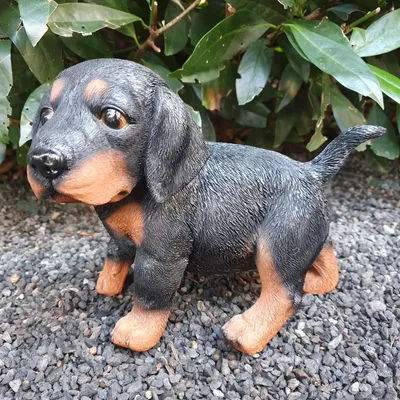 Immagine prodotto di Statua da giardino Cucciolo di bassotto 17 cm