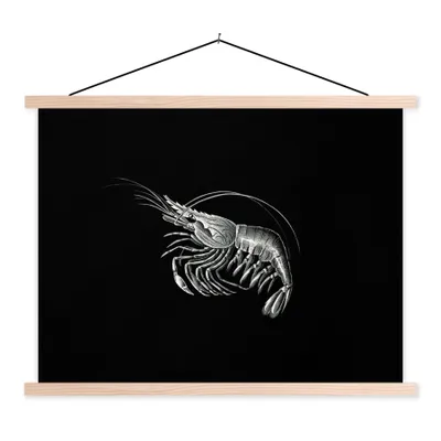 Produktbild von MuchoWow® Textilposter Shrimps - Vintage - Ernst Haeckel - Tiere - Kunst 40x30 cm mit holzfarbenen Rahmen - Bilder