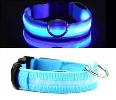 Produktbild von Halsband mit Beleuchtung - LED-Halsband - Leuchtendes Hundehalsband - Halsband - Blau - S - 34/41 cm - Tierhalsband - Halsband - Blaues Halsband - Trendiges Halsband für Hunde - CHPN