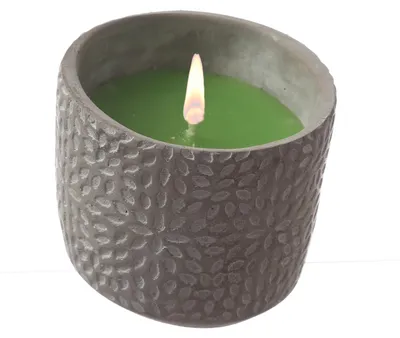 Produktbild von Duftkerze CITRONELLA - Outdoor Echtwachskerze im Betontopf - H: 9,5cm - grün