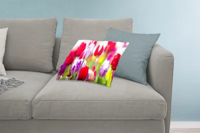 Produktbild von MuchoWow® Zierkissen Sofakissen Wohnzimmer Dekokissen 60x40 cm Nahaufnahme von farbigen Tulpen - Kopfkissen - Polster mit Foto