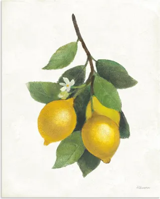 Produktbild von ARTland Wandbild Alu für Innen & Outdoor Lemon Branch III Größe: 90x120 cm