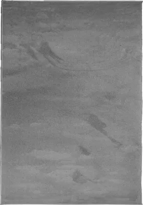 Produktbild von vidaXL Teppich OVIEDO Kurzflor Anthrazit 160x230 cm