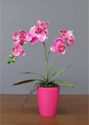 Produktbild von 1x Kunstpflanze Phalenopsis x 2, pink Deko, Blume