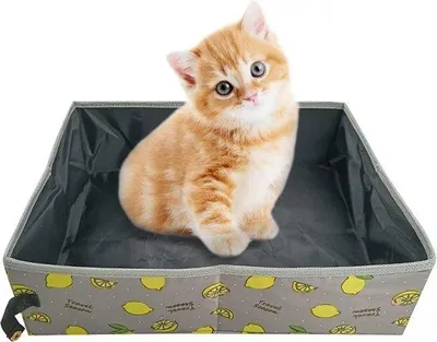 Produktbild von Wasserdichter Reisekoffer für Katzen XL Größe