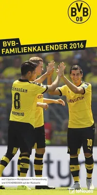 Produktbild von Borussia Dortmund Familienplaner 2016