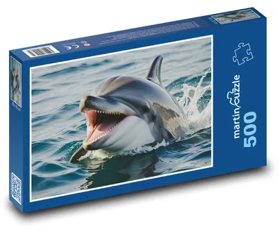 Obrázok produktu pre martinpuzzle - Puzzle 500 - Úsmevný delfín